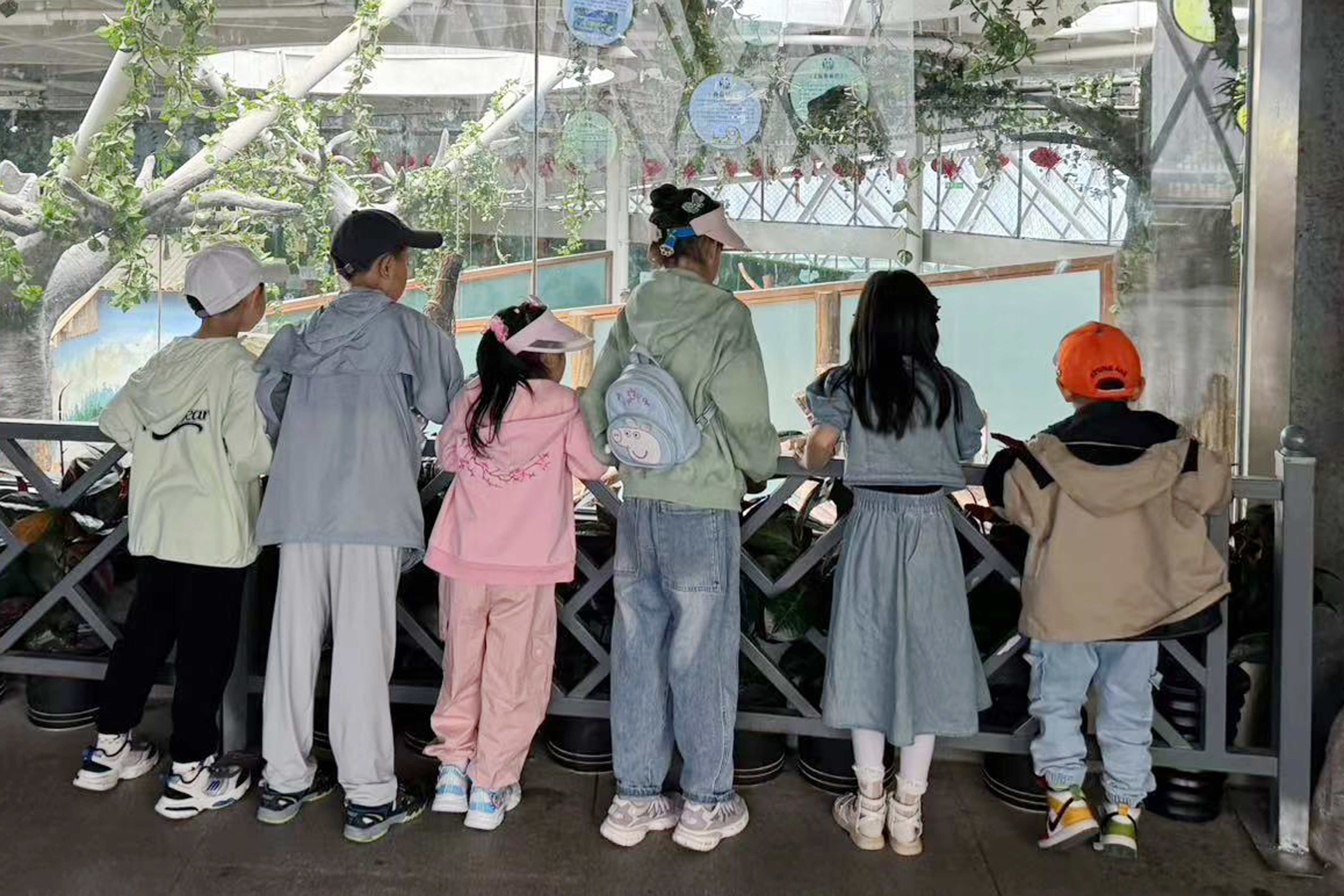 1730858270299369.jpg 參觀動物園3.jpg